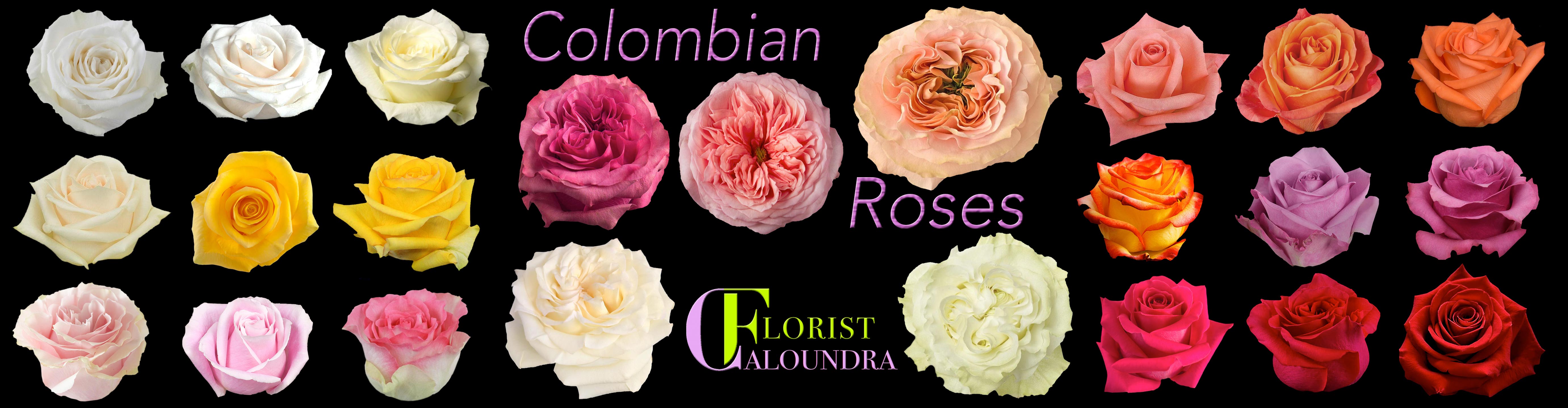 COLOMBIAN ROSES CALOUNDRA